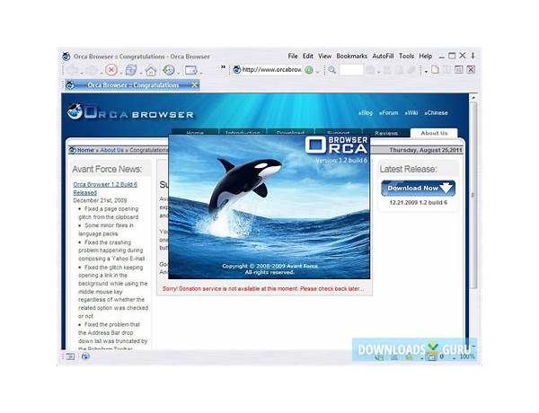Orca Browser for Windows - Download it from Habererciyes for free